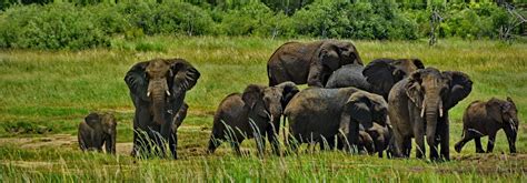 10 Best National Parks In Zimbabwe - Updated 2021 | Trip101