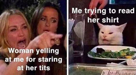 "Woman Yelling at a Cat" Memes (35 pics)