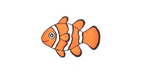 How to Draw Clown Fish? (Easy) - YouTube