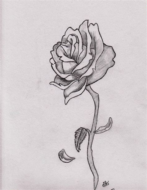 Wilted Rose Drawing at PaintingValley.com | Explore collection of ...