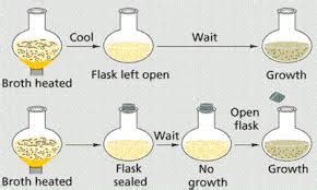 John Needham - Study Solutions