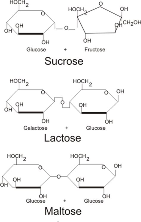 organic chemistry - How do you identify reducing / non-reducing sugar ...