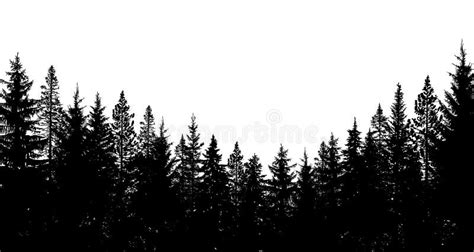 Abstract Background. Forest Wilderness Landscape. Pine Tree Silhouettes ...