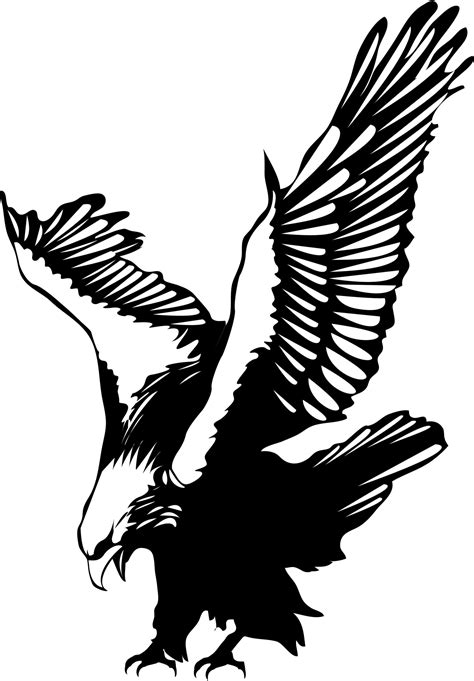 Eagle Vector - Cliparts.co