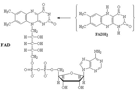 biomol.html