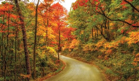 Scenic Fall Drives : In WNC's central region, follow these routes to ...