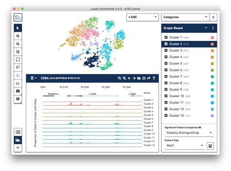 What is Loupe Cell Browser? -Software -Single Cell ATAC -Official 10x ...