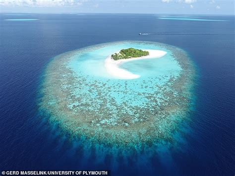 Coral islands like the Maldives could survive sea level rise | Daily ...