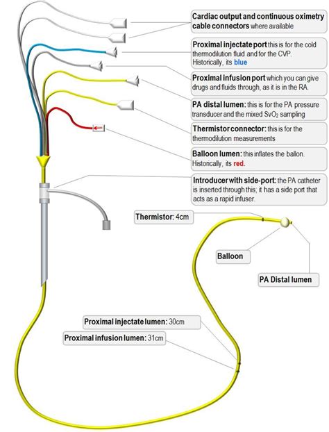 Clinical Pulmonary Artery Catheter