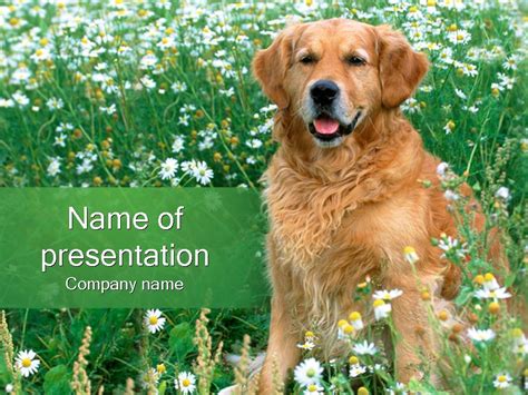 Animal PowerPoint template 3