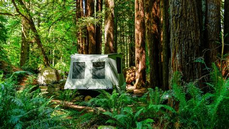 A Nature Lover's Guide to Redwood National Park Camping | Condé Nast ...