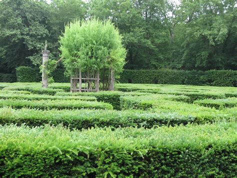 Tales from my Garden: The Gardens of Chateau Chenonceau