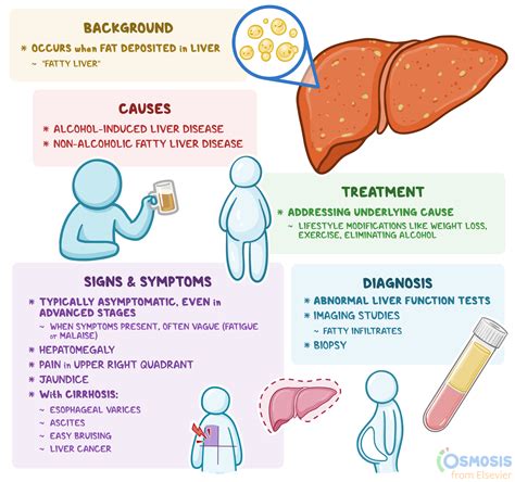 Fatty Liver Causes And Treatment