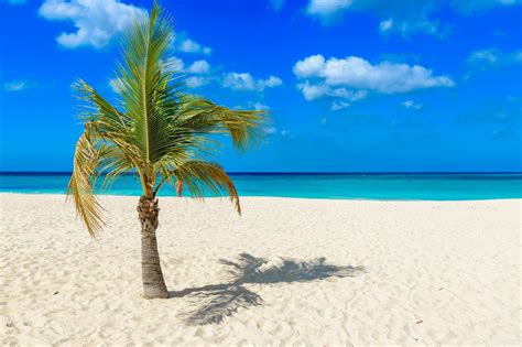 Aruba Beaches | Your Guide to the Best Beaches of Aruba!