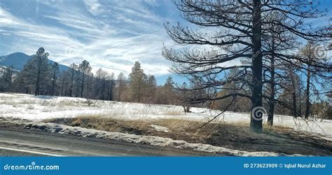 Flagstaff after Snowfall stock image. Image of cloud - 273623909