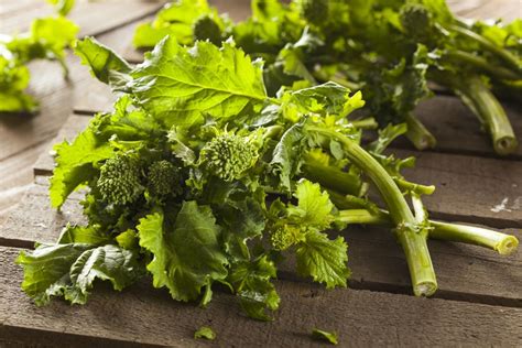 Broccoli Rabe Care - How To Grow And Harvest Rapini