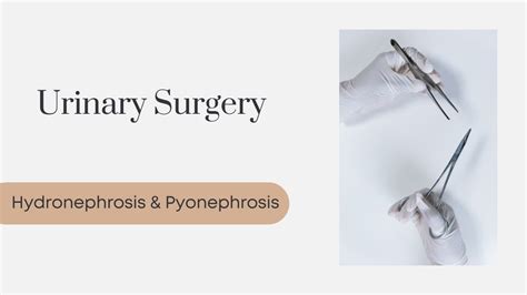 Urinary Surgery | Hydronephrosis & Pyonephrosis - YouTube