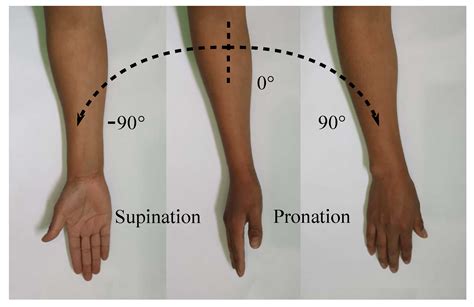 Applied Sciences | Free Full-Text | Adjustable Stiffness-Based ...