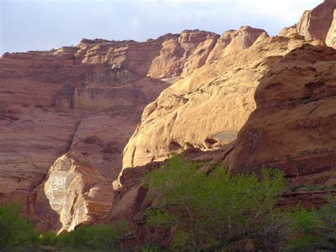 Paria Canyon Hike