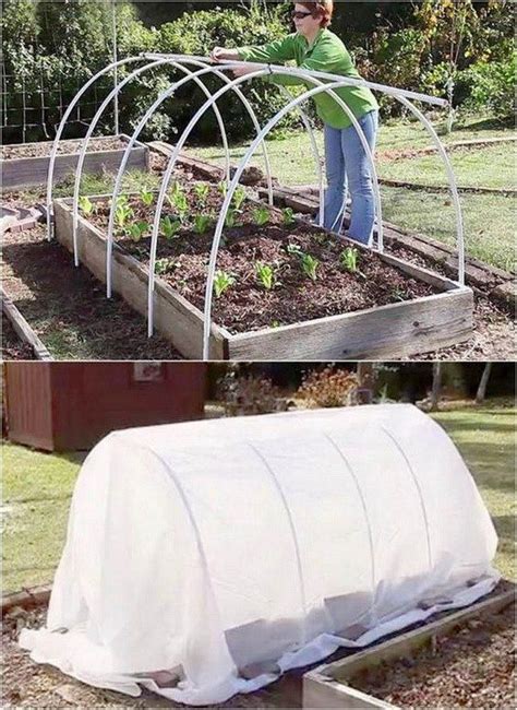 PVC Hoop House Over Garden Bed. #”greenhousediy” Diy Greenhouse Plans ...