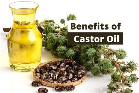 Amazing Benefits of Castor Oil And it's uses - Go Lifestyle Wiki