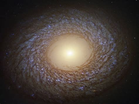 NASA's Hubble Space Telescope Captures Stunning Image of NGC 2775, the ...