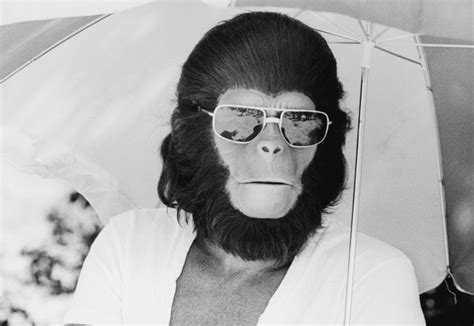 Biography of Roddy McDowall, Planet of the Apes Actor