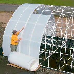 Best Clear Plastic Sheets for Greenhouses - Greenhouse Info