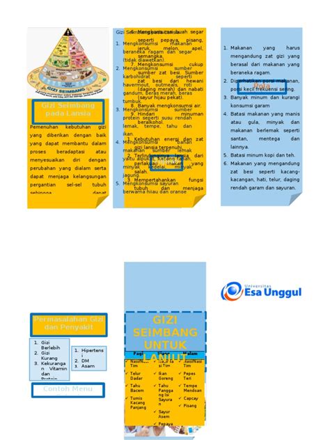 LEAFLET Gizi Seimbang Pada Lansia | PDF