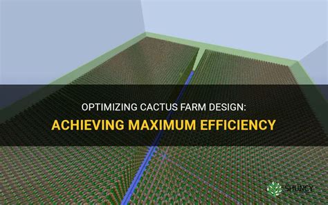 Optimizing Cactus Farm Design: Achieving Maximum Efficiency | ShunCy