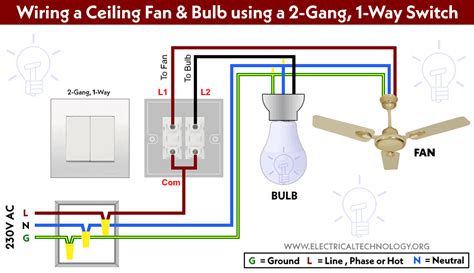 How to Wire Double Switch? 2-Gang, 1-Way Switch - IEC & NEC