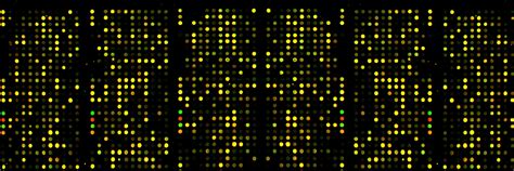 Microarray Data Analysis | Bionivid