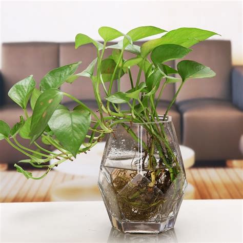 Terrarium Glass Vase Hydroponic Plant Flower Clear Container Indoor ...