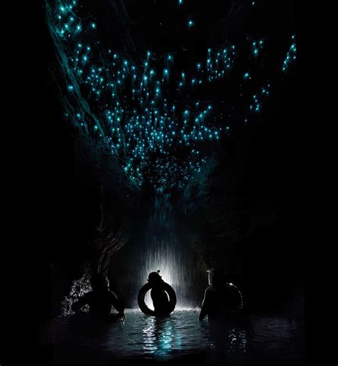 Waitomo Caves: Glowworms, Blackwater Rafting & the Best Tours – Earth ...