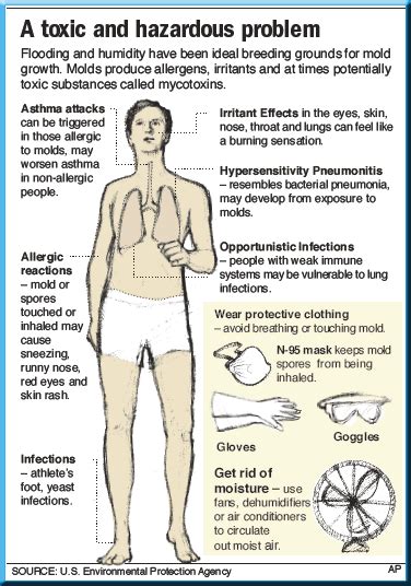 Rash Black Mold Exposure Symptoms – Telegraph