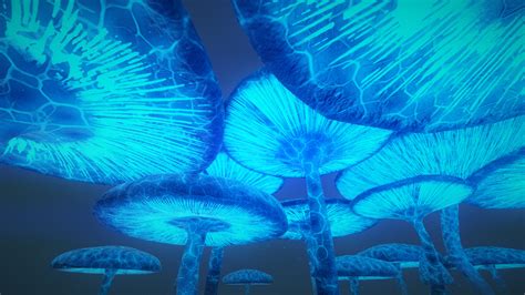 Glowing Mushroom Forest