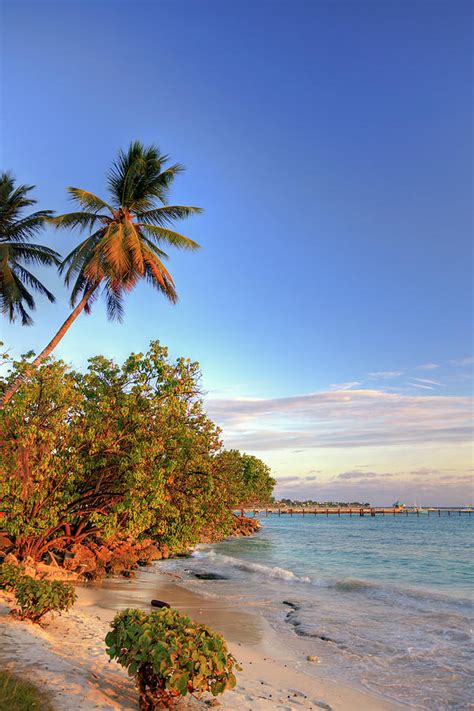 Oistins Beach, Barbados Photograph by Michele Falzone | Fine Art America