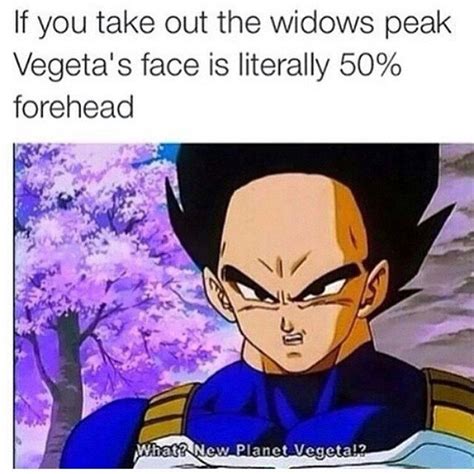 MovieNewsroom | Dragon Ball: 10 Hilarious Vegeta Memes That Are Too Funny