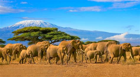 5 tourist attractions you should visit in East Africa