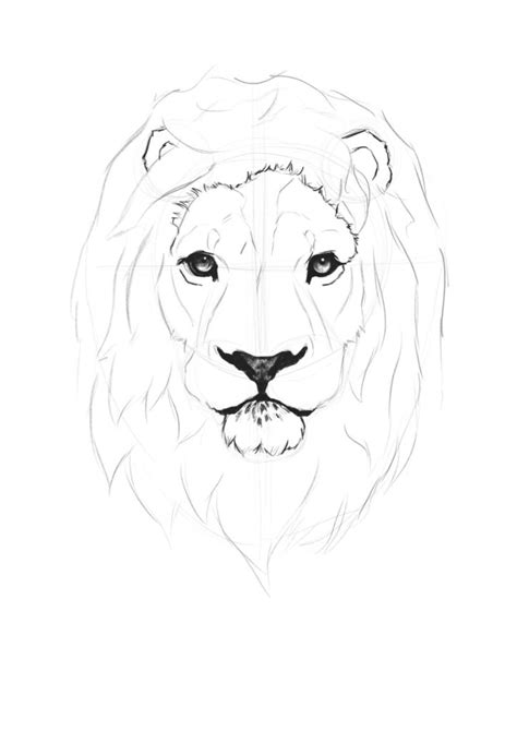 Cool Lion Drawings