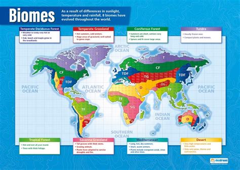 Biomes | Geography Posters | Gloss Paper measuring 850mm x 594mm (A1 ...