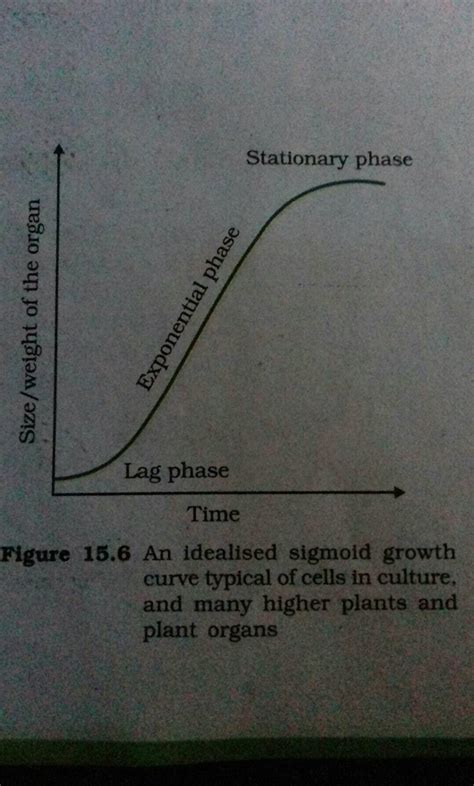 Time Figure 15.6 An idealised sigmoid growth curve typical of cells in cu..