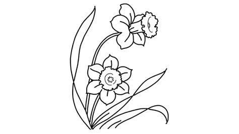 Small Spring Flowers Drawing | Flower Drawing | Gulab ka phool banane ...