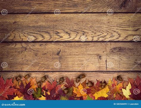 Autumn Leaves and Acorns on Rustic Wooden Background Stock Image ...