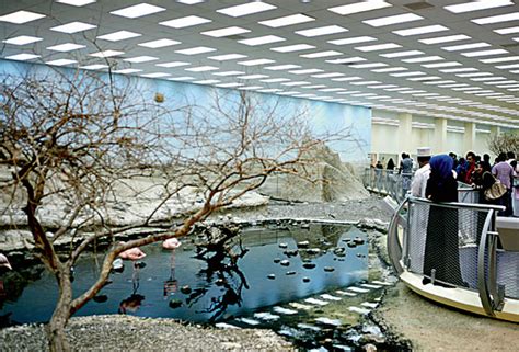 Thousands throng Sharjah desert park UAE