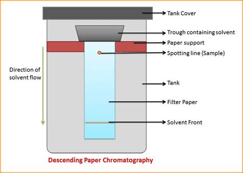 What is Paper Chromatography? Principle and Procedure