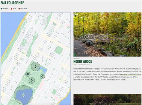 This map of Central Park tracks fall foliage in real time | 6sqft