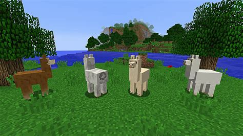 How to Tame and Ride Llamas in Minecraft | Minecraft