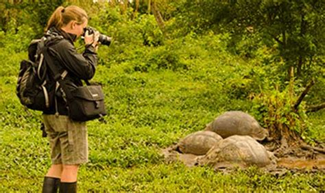 Galapagos Islands Tours & Vacations Options | Ecuador Travel