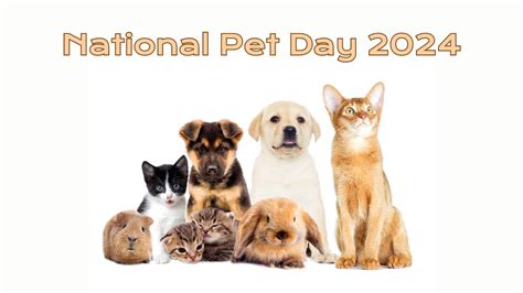 National Pet Day 2024, Its History and Significance